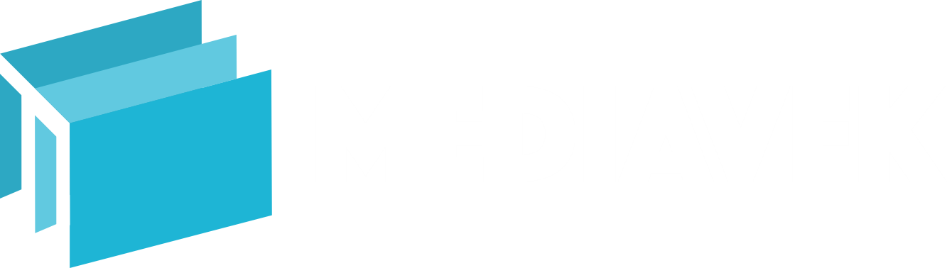 mediavek web development